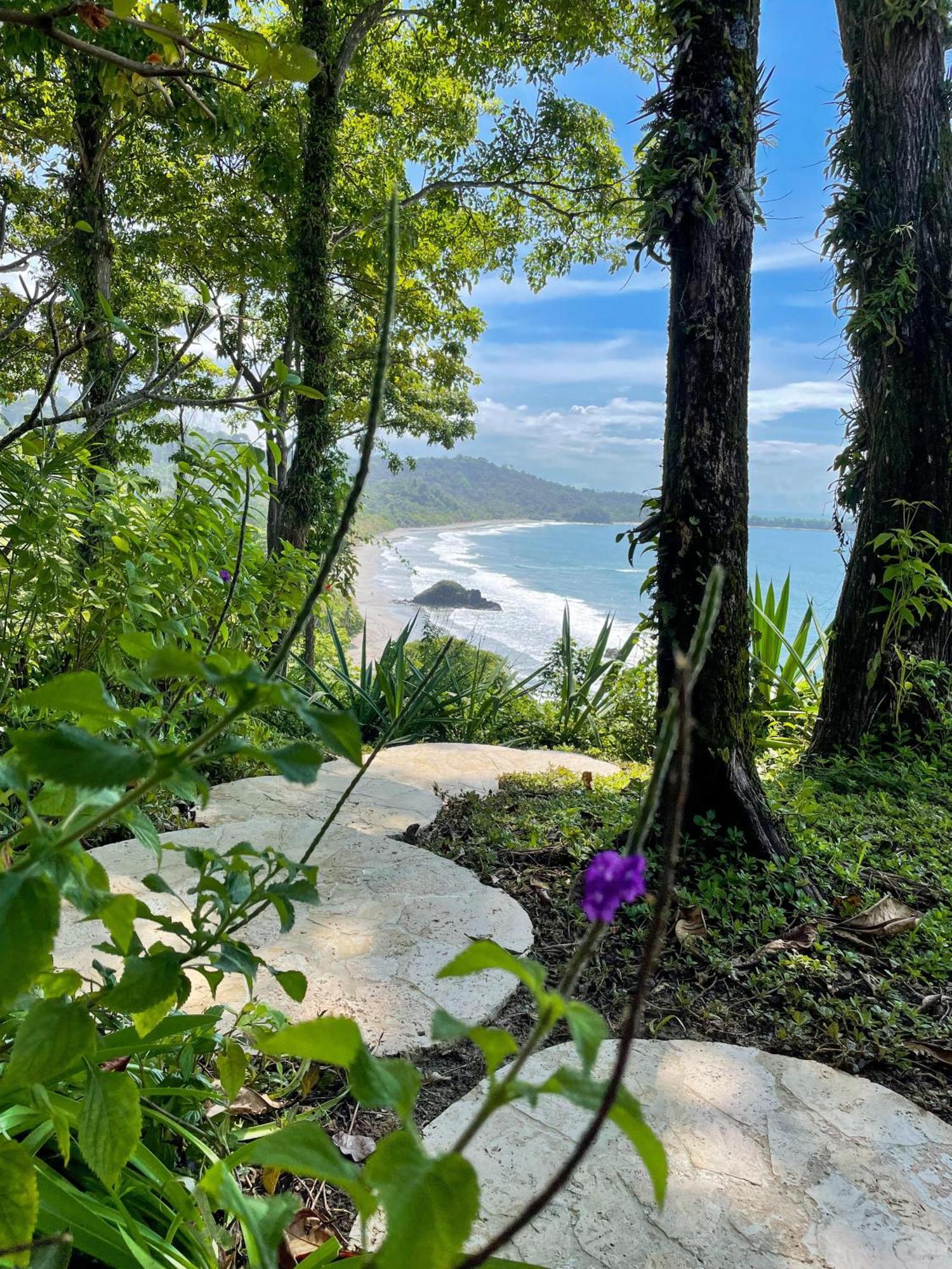 Arenas Del Mar Beachfront & Rainforest Resort Member Of The Cayuga Collection Manuel Antonio Εξωτερικό φωτογραφία